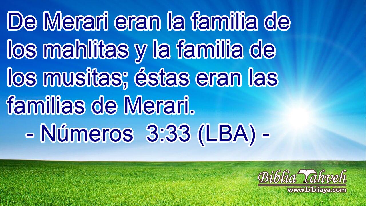 De Merari eran la familia de los mahlitas y la familia de los musitas; éstas eran las familias de Merari.