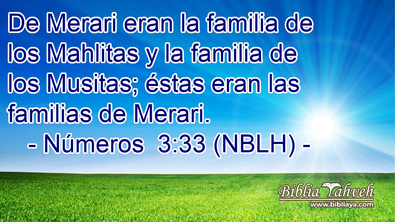  De Merari eran la familia de los Mahlitas y la familia de los Musitas; éstas eran las familias de Merari. 