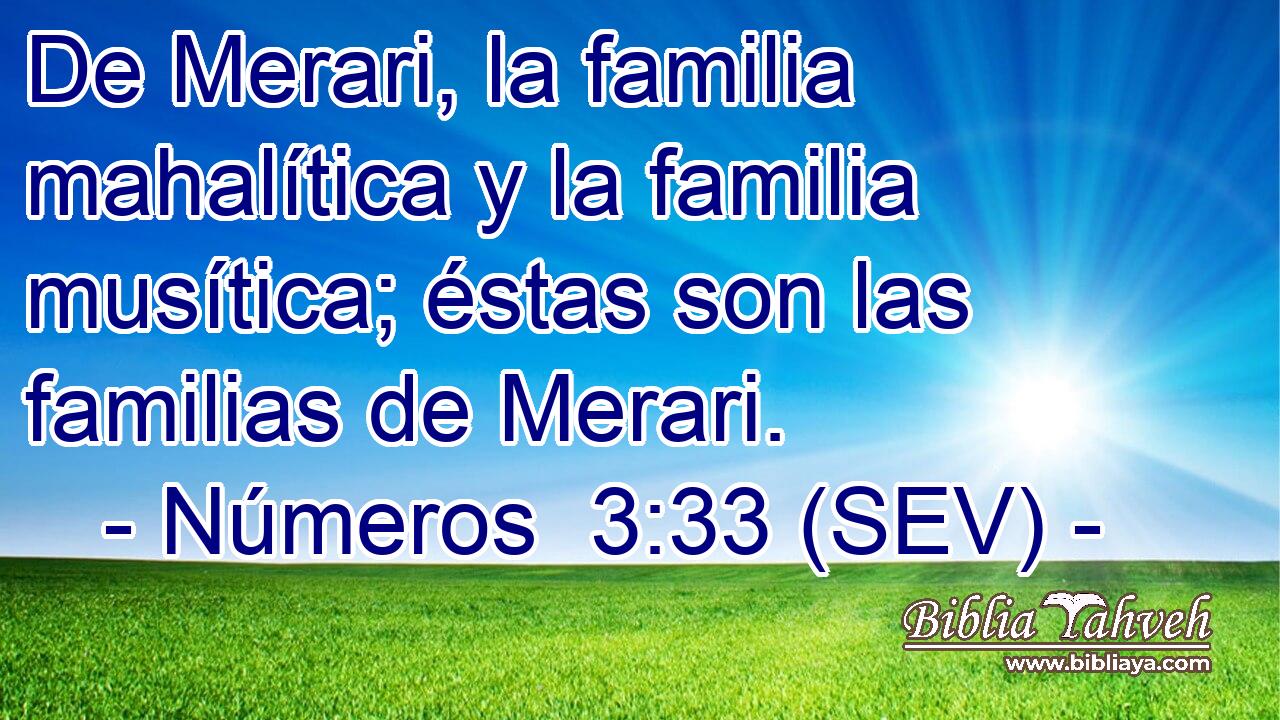 De Merari, la familia mahalítica y la familia musítica; éstas son las familias de Merari.