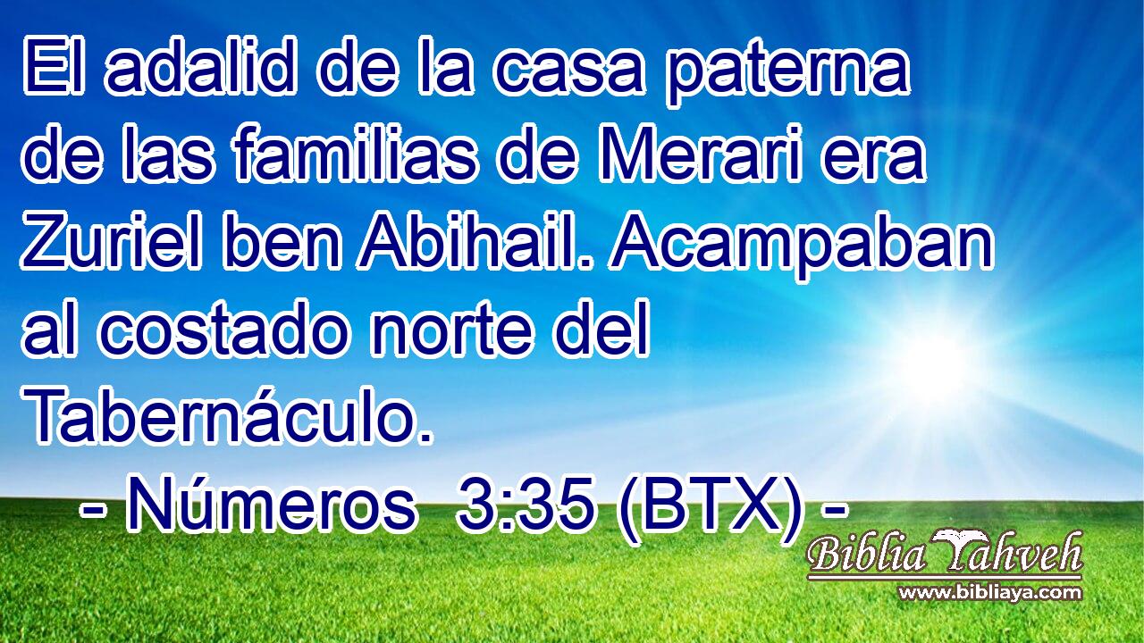 El adalid de la casa paterna de las familias de Merari era Zuriel ben Abihail. Acampaban al costado norte del Tabernáculo.