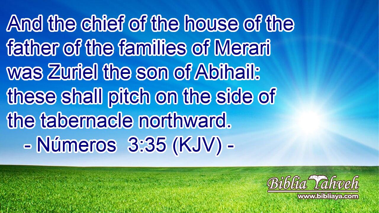 And the chief of the house of the father of the families of Merari was Zuriel the son of Abihail: these shall pitch on the side of the tabernacle northward.