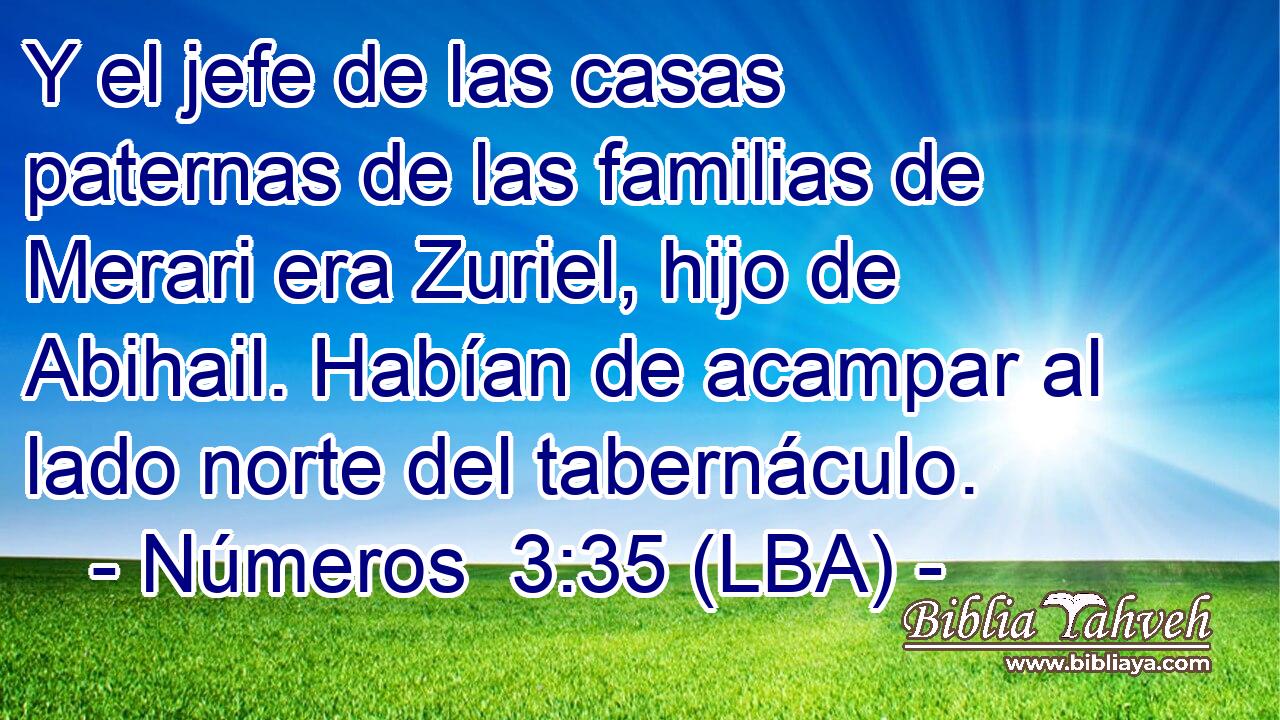 Y el jefe de las casas paternas de las familias de Merari era Zuriel, hijo de Abihail. Habían de acampar al lado norte del tabernáculo.
