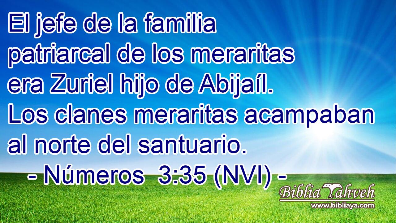  El jefe de la familia patriarcal de los meraritas era Zuriel hijo de Abijaíl. Los clanes meraritas acampaban al norte del santuario. 
