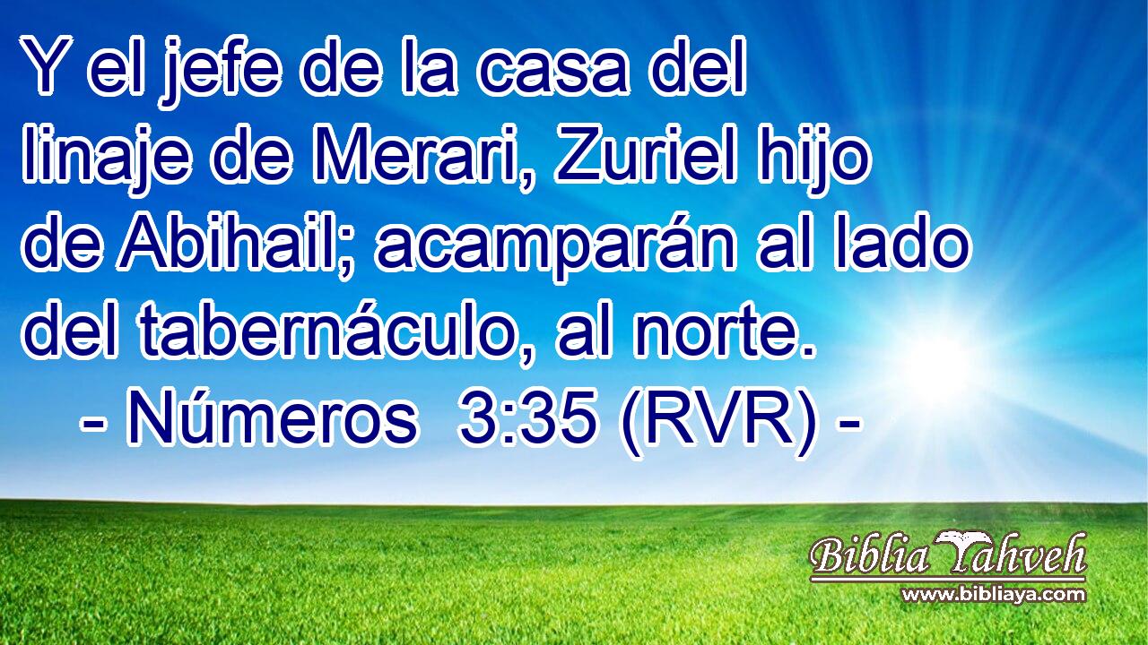Y el jefe de la casa del linaje de Merari, Zuriel hijo de Abihail; acamparán al lado del tabernáculo, al norte.
