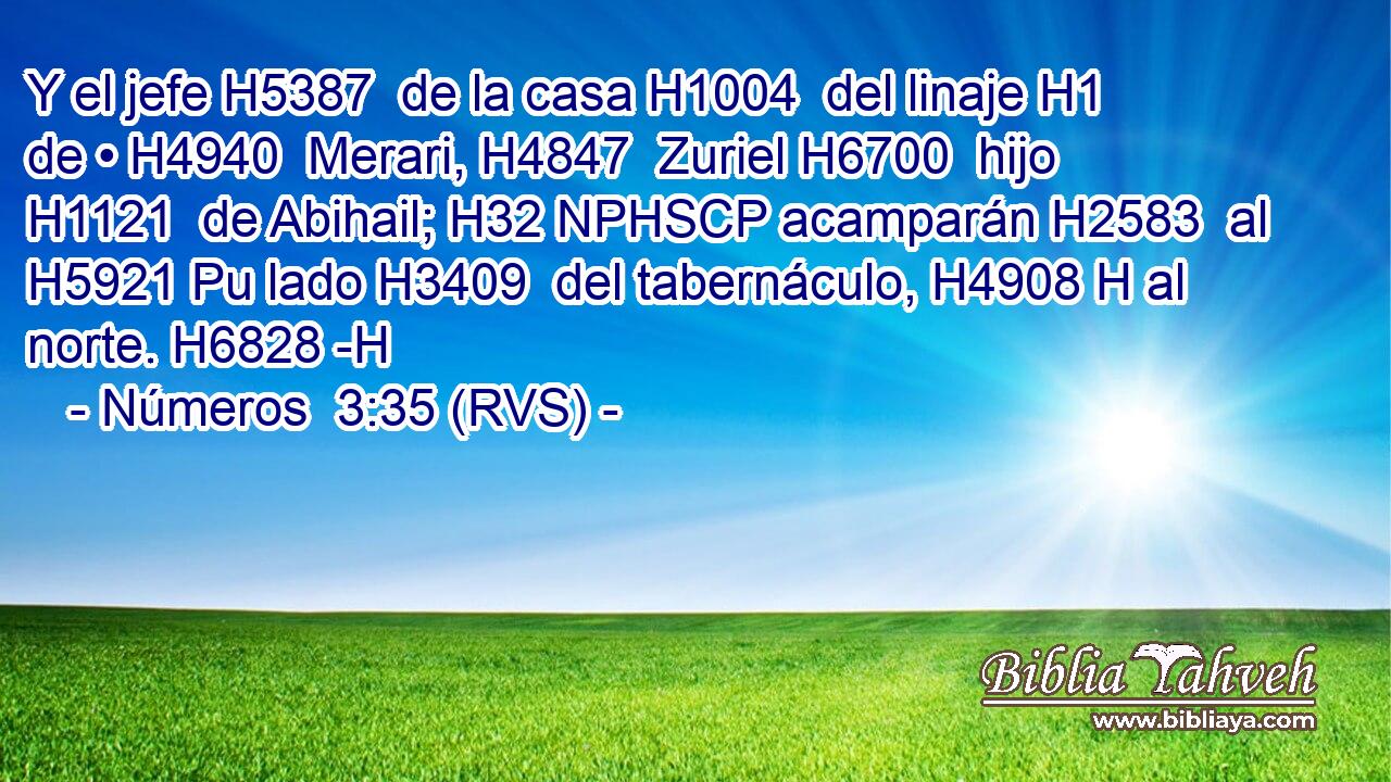Y el jefe H5387  de la casa H1004  del linaje H1  de • H4940  Merari, H4847  Zuriel H6700  hijo H1121  de Abihail; H32 NPHSCP acamparán H2583  al H5921 Pu lado H3409  del tabernáculo, H4908 H al norte. H6828 -H 