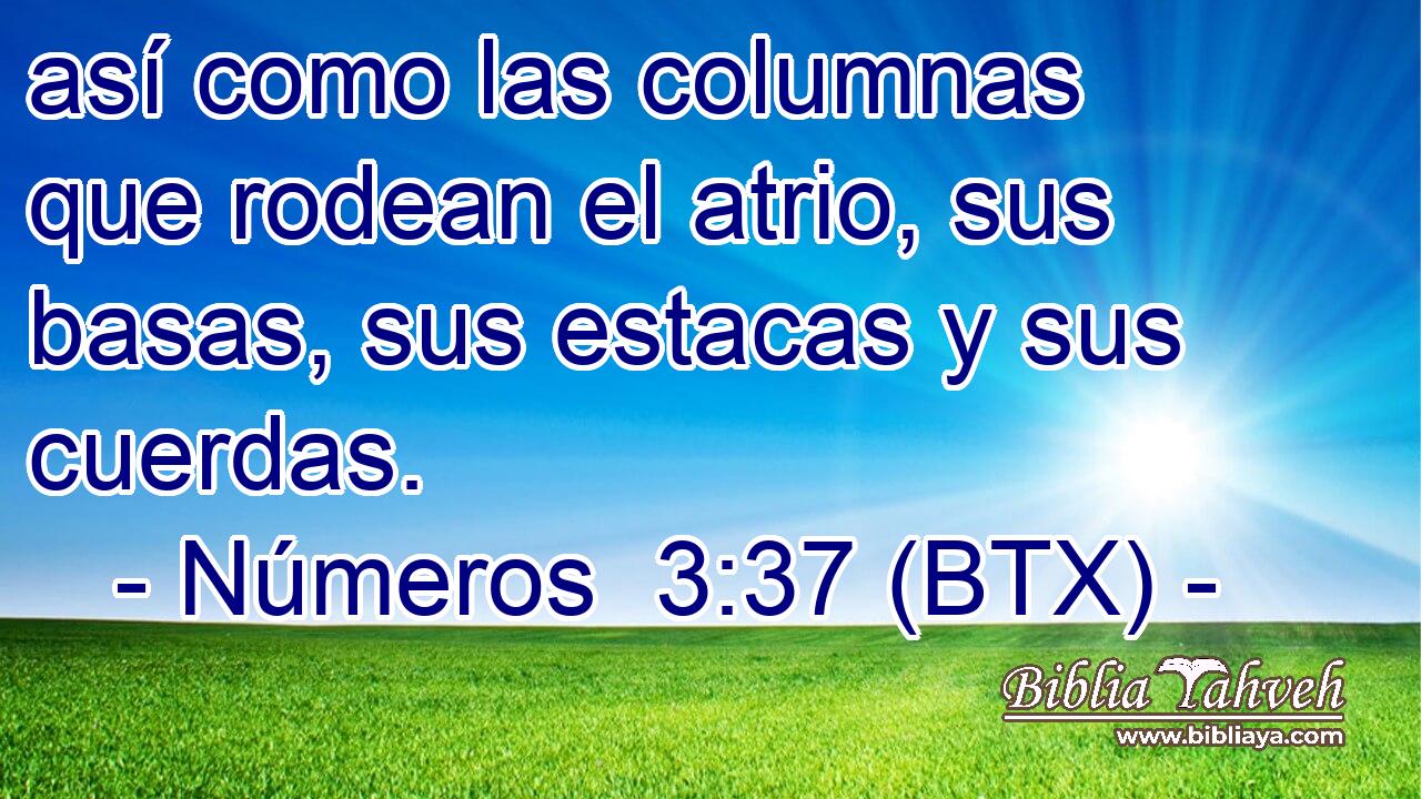 así como las columnas que rodean el atrio, sus basas, sus estacas y sus cuerdas.