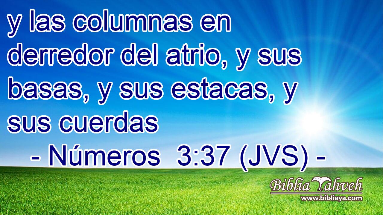 y las columnas en derredor del atrio, y sus basas, y sus estacas, y sus cuerdas