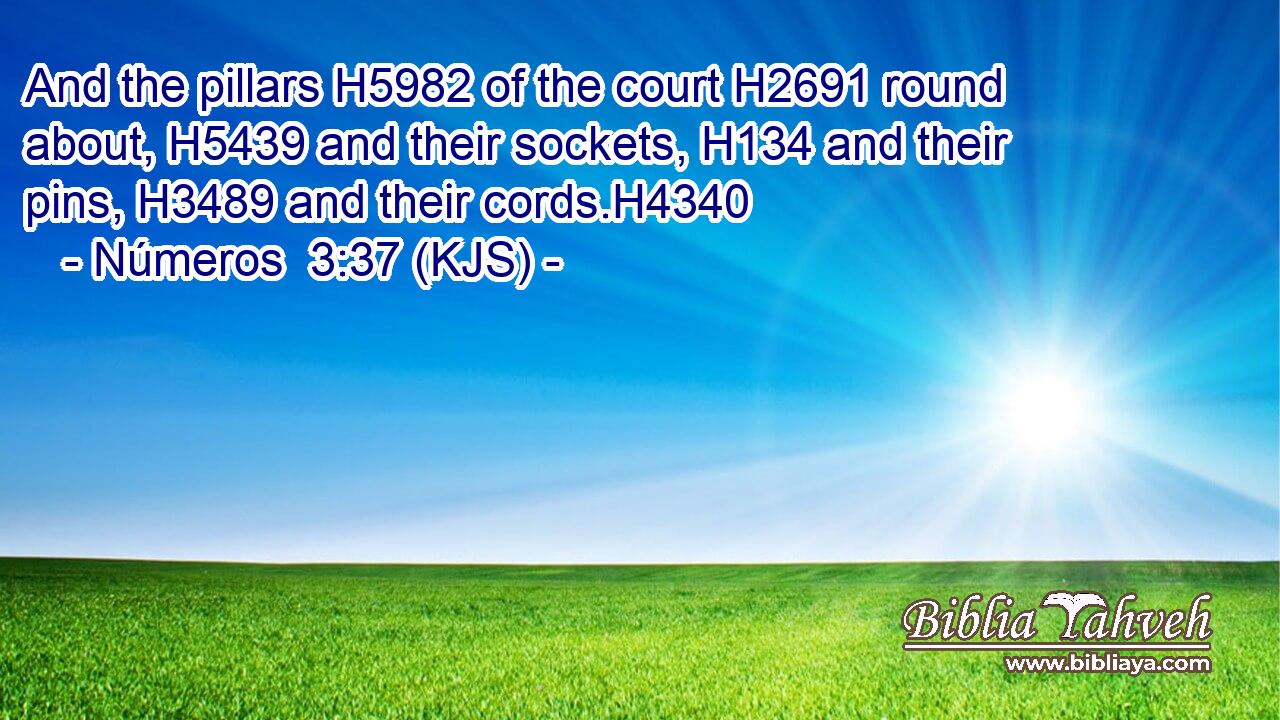 And the pillars H5982 of the court H2691 round about, H5439 and their sockets, H134 and their pins, H3489 and their cords.H4340