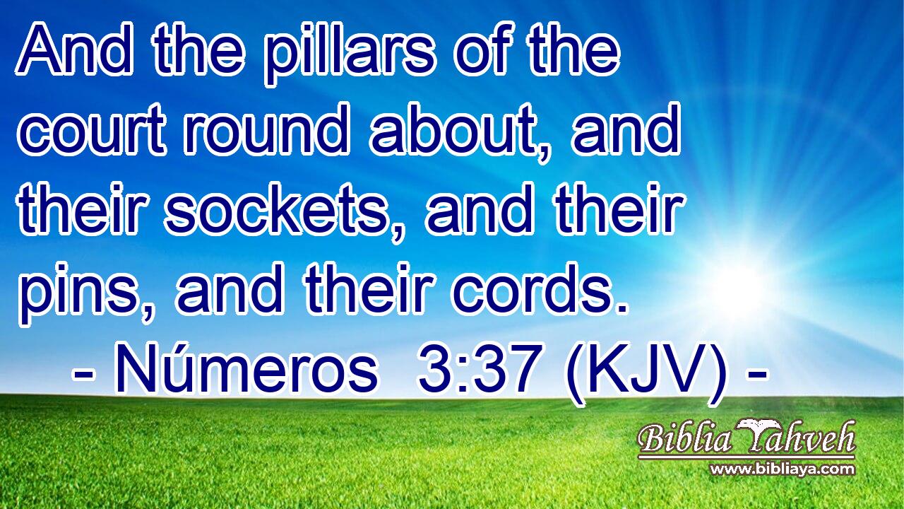 And the pillars of the court round about, and their sockets, and their pins, and their cords.