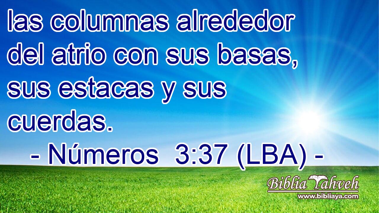 las columnas alrededor del atrio con sus basas, sus estacas y sus cuerdas.