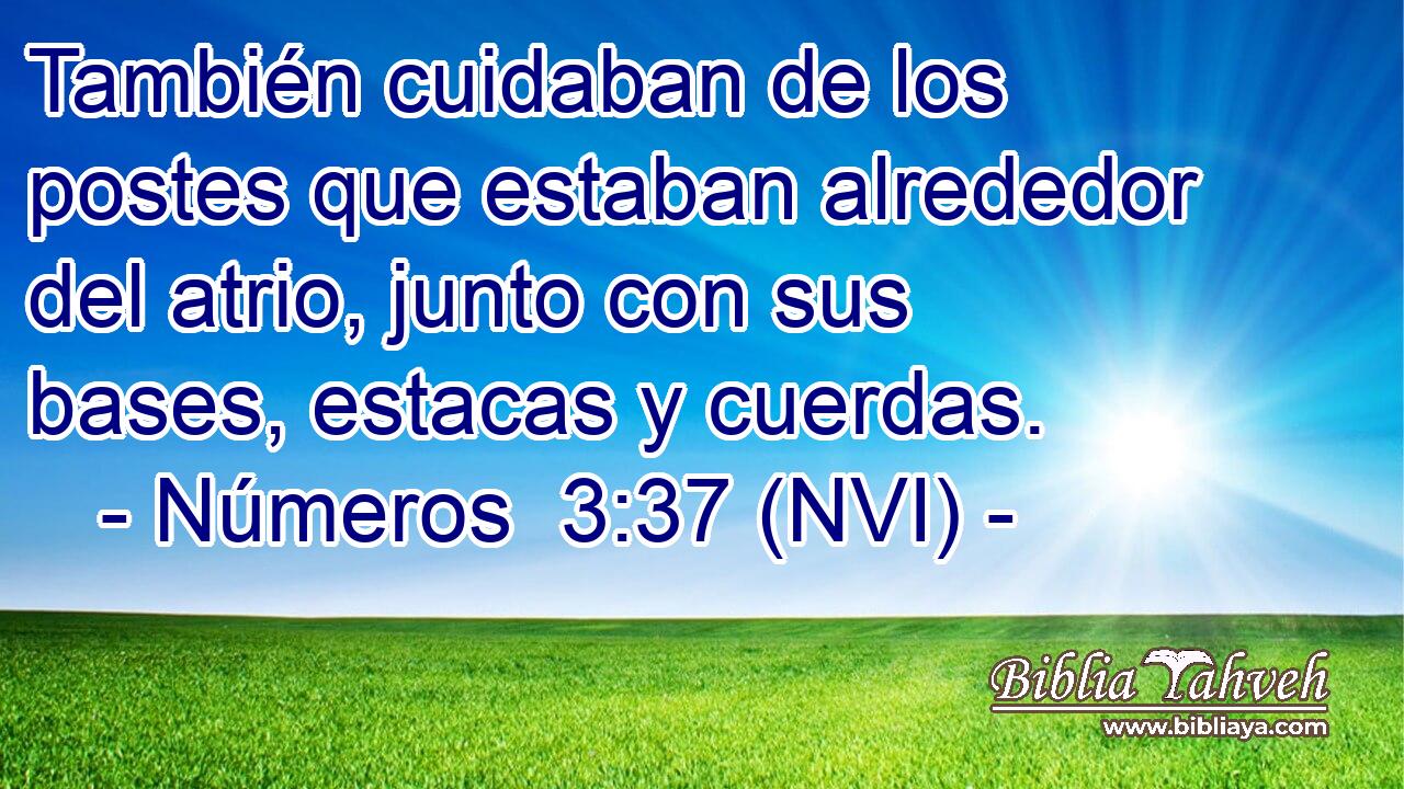  También cuidaban de los postes que estaban alrededor del atrio, junto con sus bases, estacas y cuerdas. 