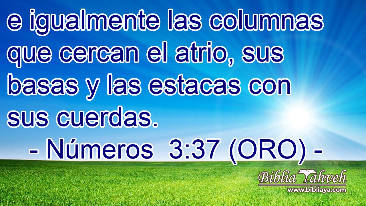  e igualmente las columnas que cercan el atrio, sus basas y las estacas con sus cuerdas. 