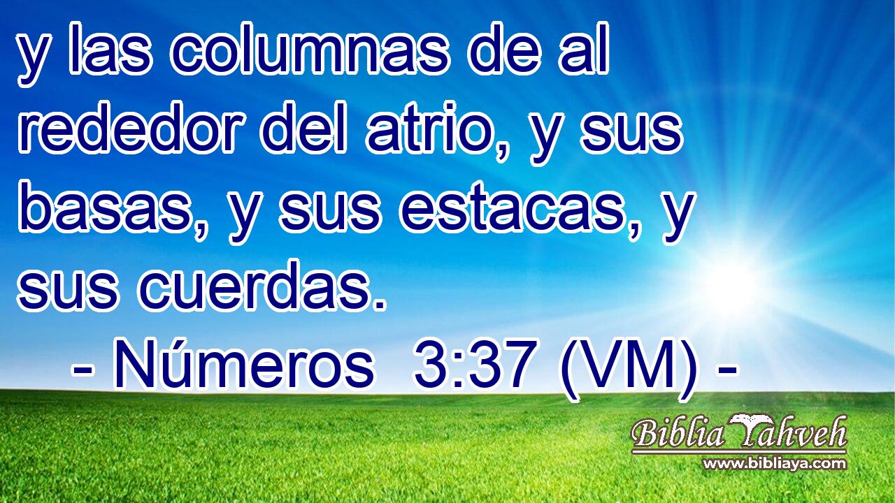  y las columnas de al rededor del atrio, y sus basas, y sus estacas, y sus cuerdas. 