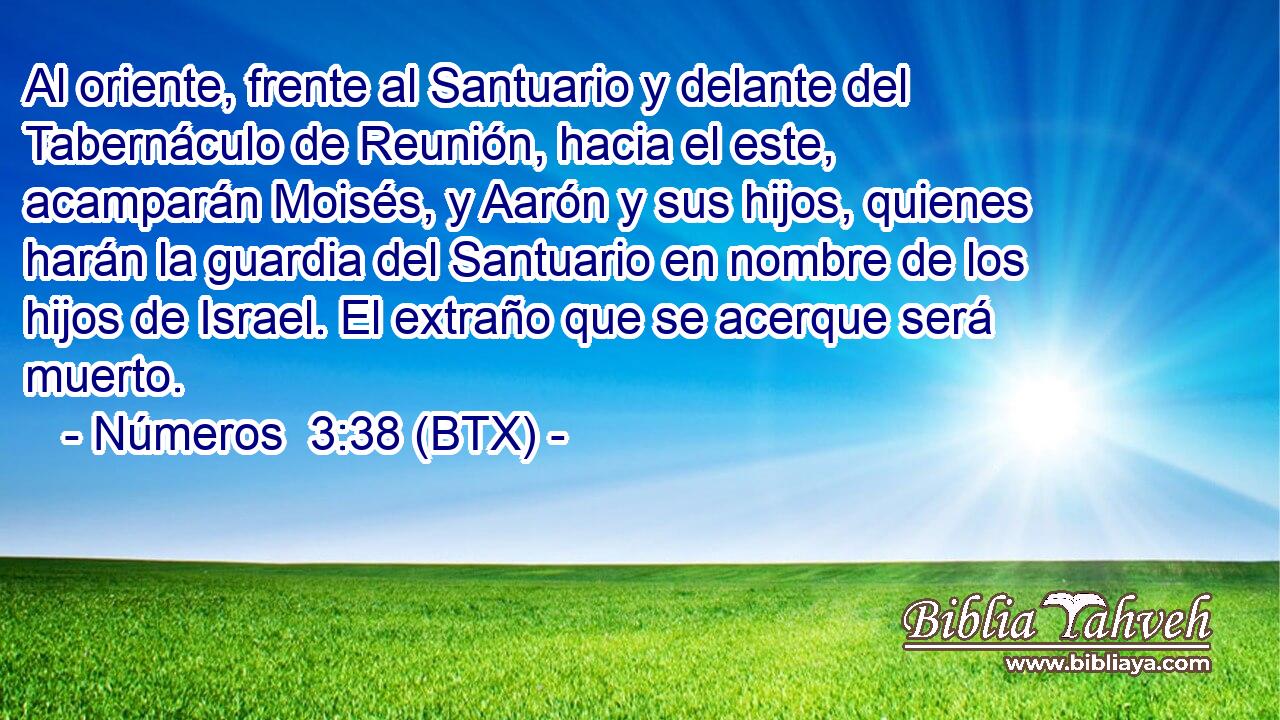 Al oriente, frente al Santuario y delante del Tabernáculo de Reunión, hacia el este, acamparán Moisés, y Aarón y sus hijos, quienes harán la guardia del Santuario en nombre de los hijos de Israel. El extraño que se acerque será muerto.