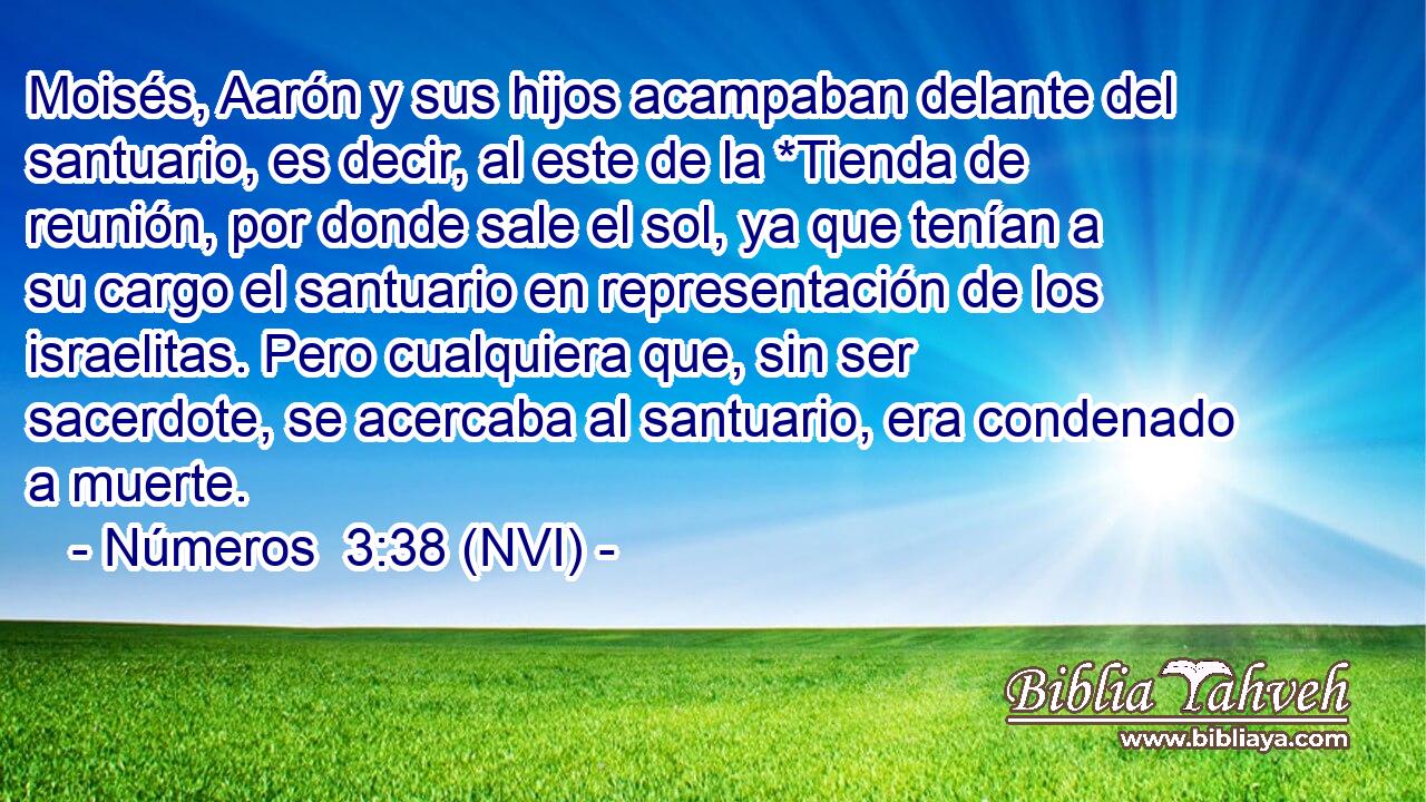  Moisés, Aarón y sus hijos acampaban delante del santuario, es decir, al este de la *Tienda de reunión, por donde sale el sol, ya que tenían a su cargo el santuario en representación de los israelitas. Pero cualquiera que, sin ser sacerdote, se acercaba al santuario, era condenado a muerte. 