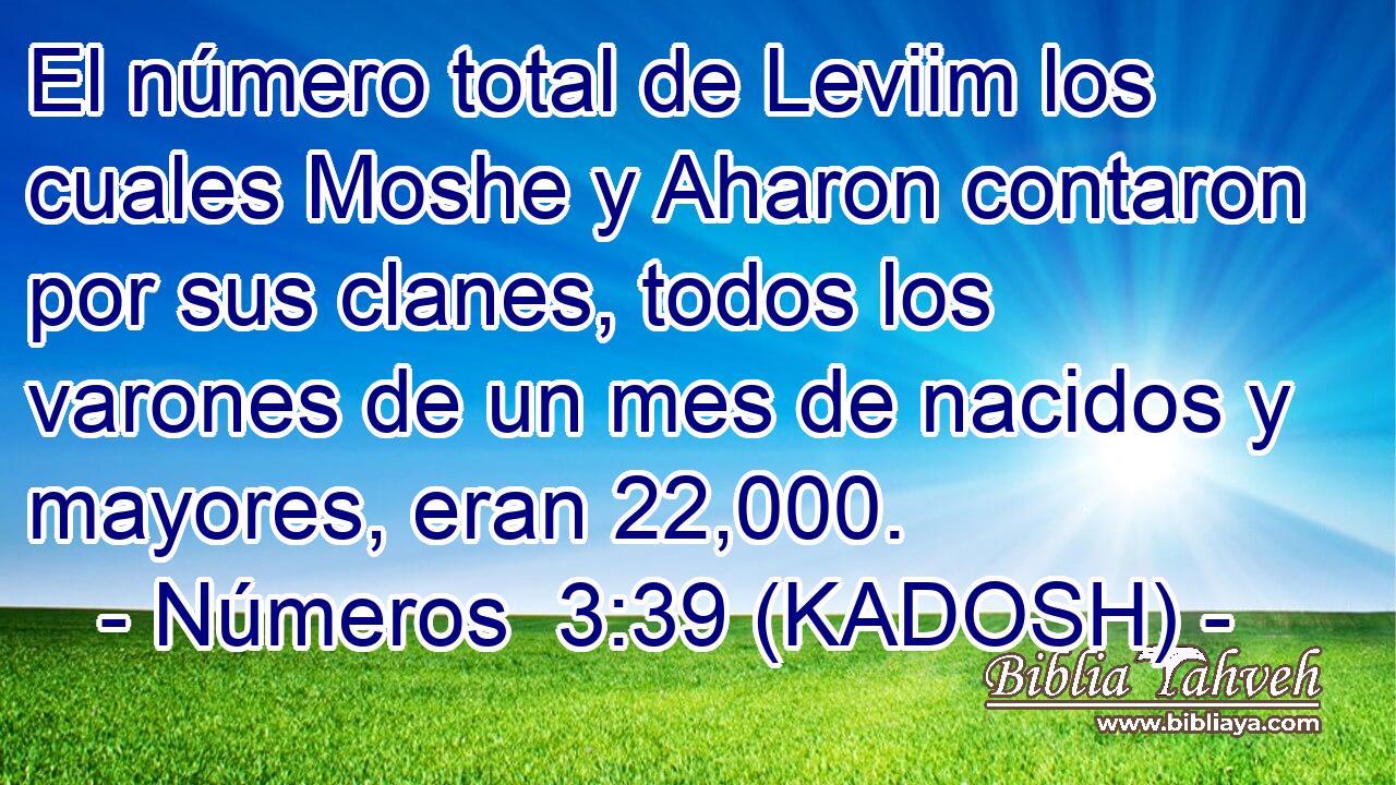  El número total de Leviim los cuales Moshe y Aharon contaron por sus clanes, todos los varones de un mes de nacidos y mayores, eran 22,000. 