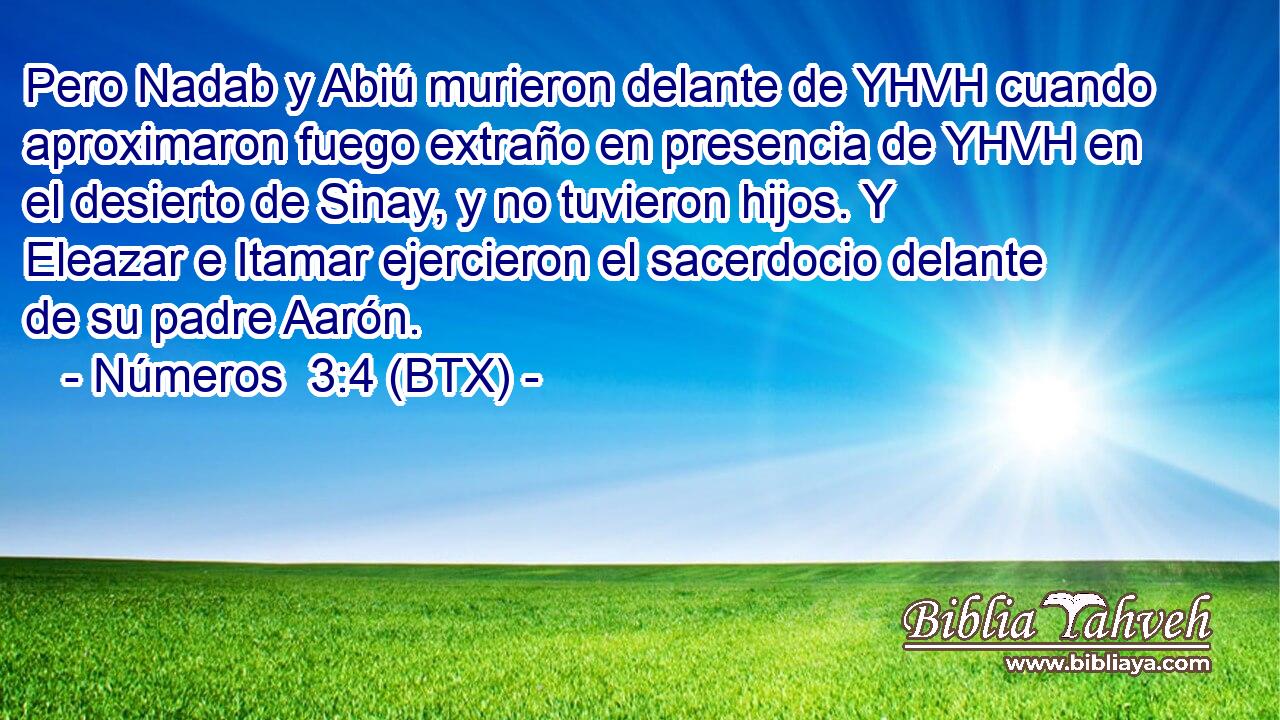 Pero Nadab y Abiú murieron delante de YHVH cuando aproximaron fuego extraño en presencia de YHVH en el desierto de Sinay, y no tuvieron hijos. Y Eleazar e Itamar ejercieron el sacerdocio delante de su padre Aarón.