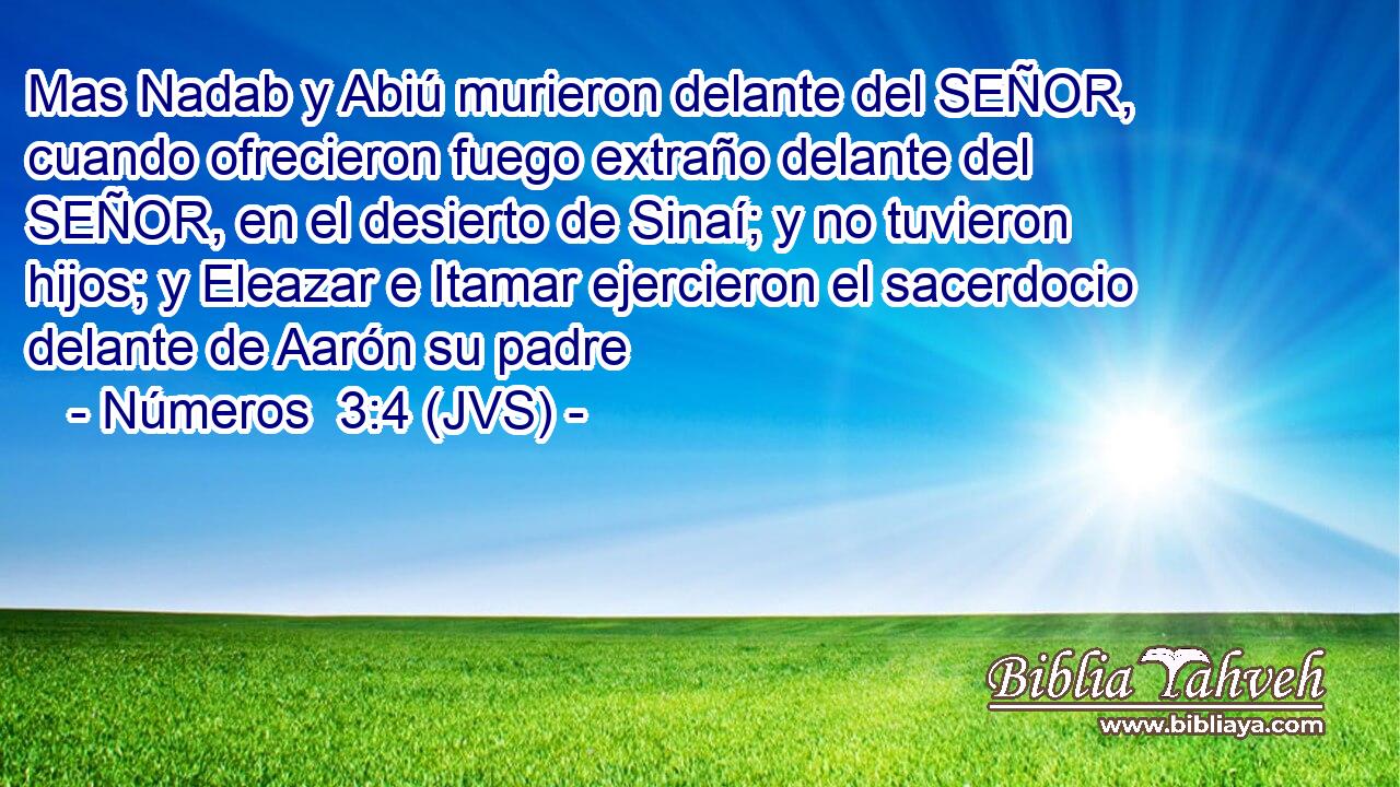 Mas Nadab y Abiú murieron delante del SEÑOR, cuando ofrecieron fuego extraño delante del SEÑOR, en el desierto de Sinaí; y no tuvieron hijos; y Eleazar e Itamar ejercieron el sacerdocio delante de Aarón su padre