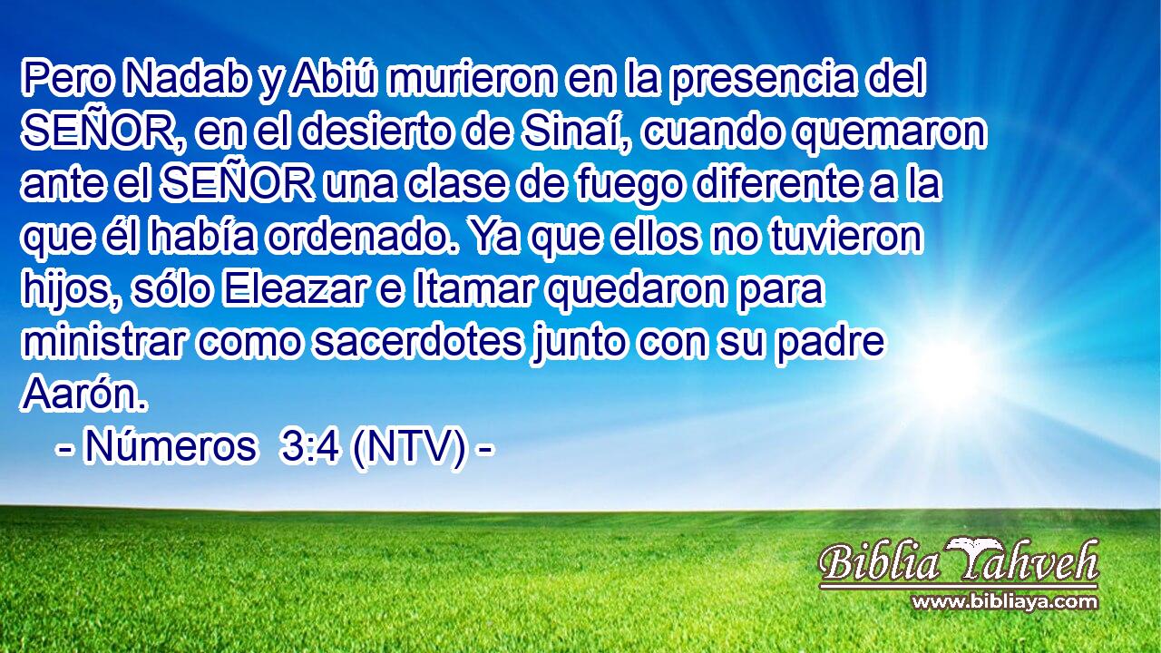 Pero Nadab y Abiú murieron en la presencia del SEÑOR, en el desierto de Sinaí, cuando quemaron ante el SEÑOR una clase de fuego diferente a la que él había ordenado. Ya que ellos no tuvieron hijos, sólo Eleazar e Itamar quedaron para ministrar como sacerdotes junto con su padre Aarón.