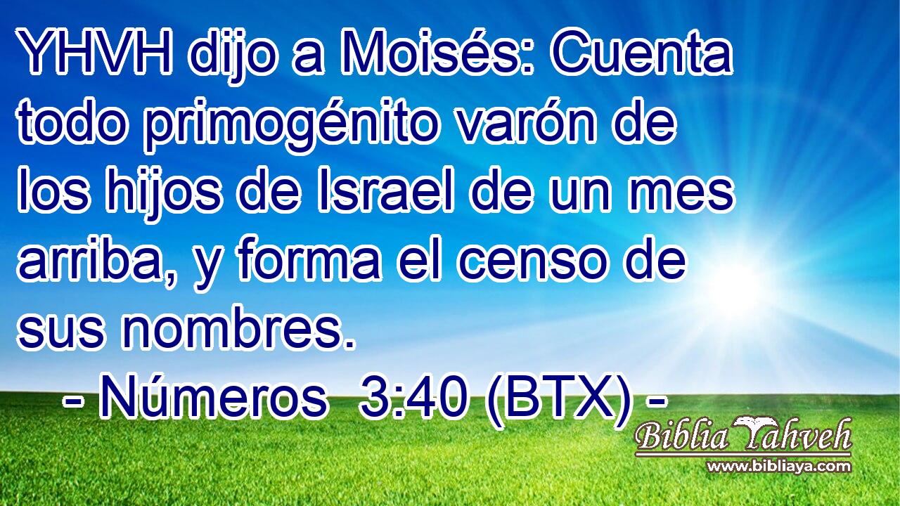 YHVH dijo a Moisés: Cuenta todo primogénito varón de los hijos de Israel de un mes arriba, y forma el censo de sus nombres.