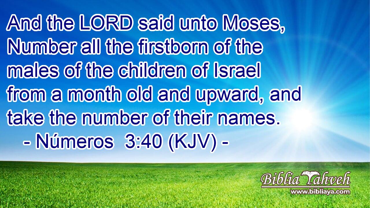 And the LORD said unto Moses, Number all the firstborn of the males of the children of Israel from a month old and upward, and take the number of their names.