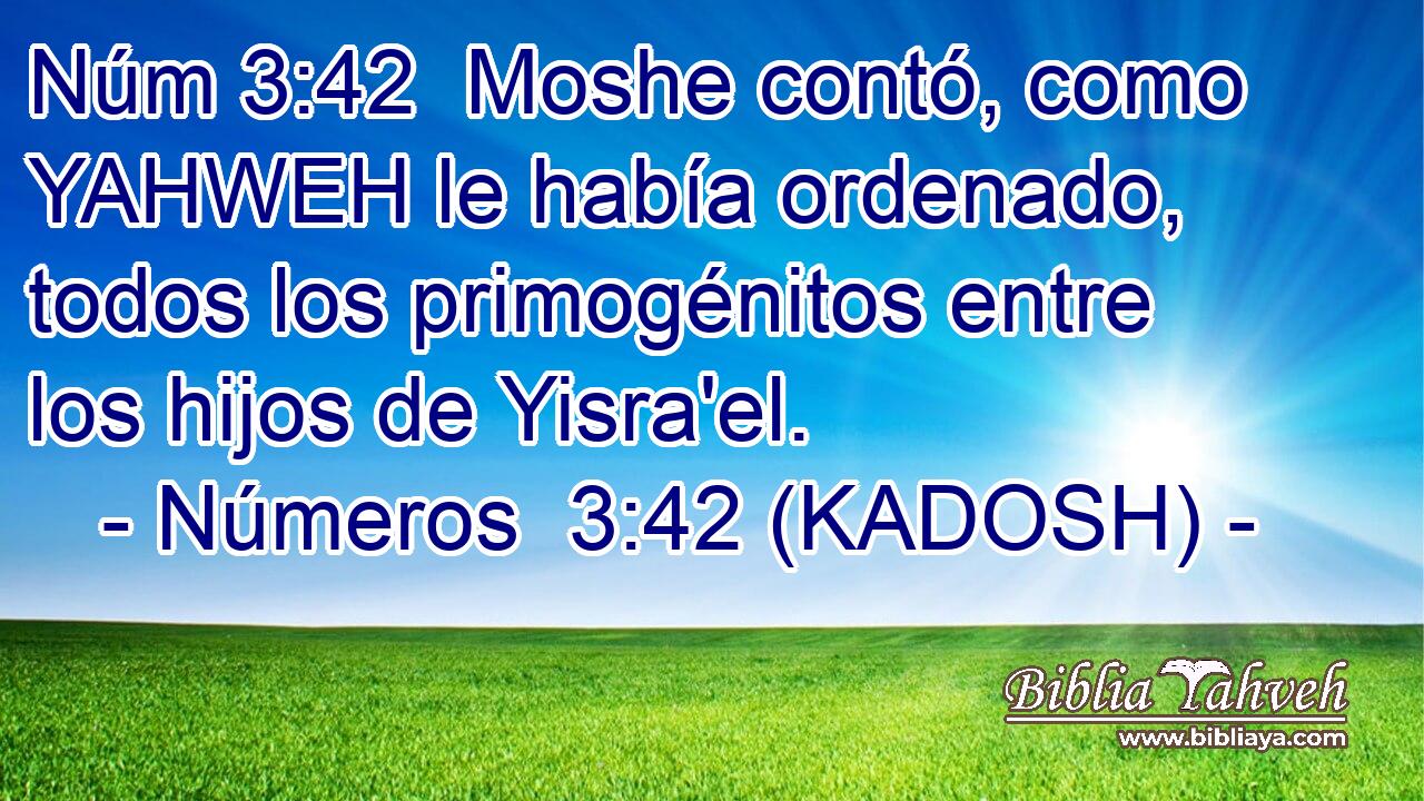  Moshe contó, como YAHWEH le había ordenado, todos los primogénitos entre los hijos de Yisra'el. 