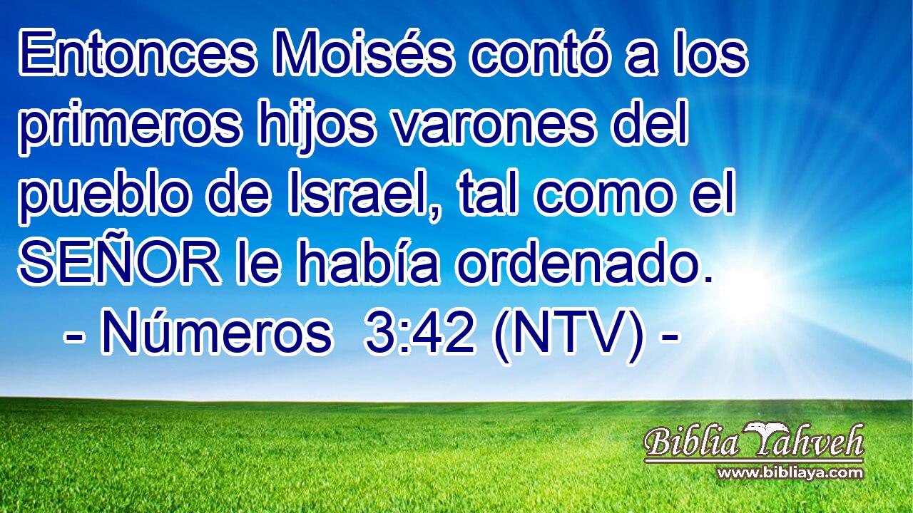 Entonces Moisés contó a los primeros hijos varones del pueblo de Israel, tal como el SEÑOR le había ordenado.