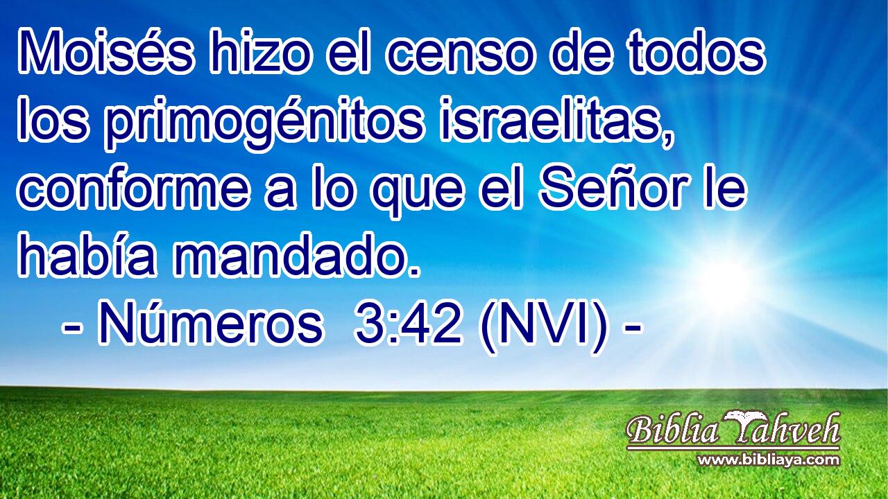  Moisés hizo el censo de todos los primogénitos israelitas, conforme a lo que el Señor le había mandado. 