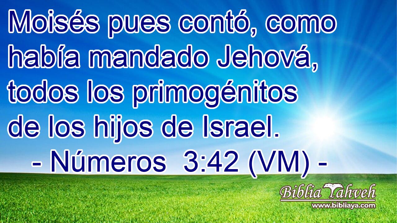 Moisés pues contó, como había mandado Jehová, todos los primogénitos de los hijos de Israel. 