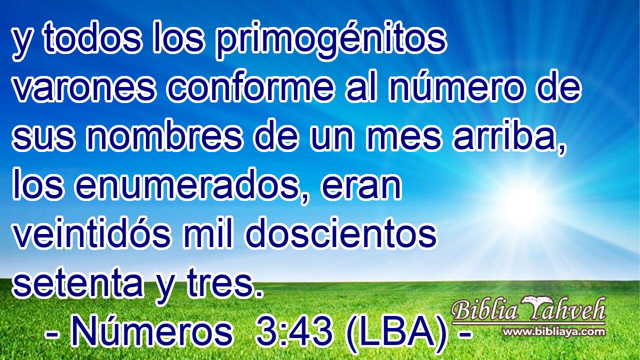 y todos los primogénitos varones conforme al número de sus nombres de un mes arriba, los enumerados, eran veintidós mil doscientos setenta y tres.