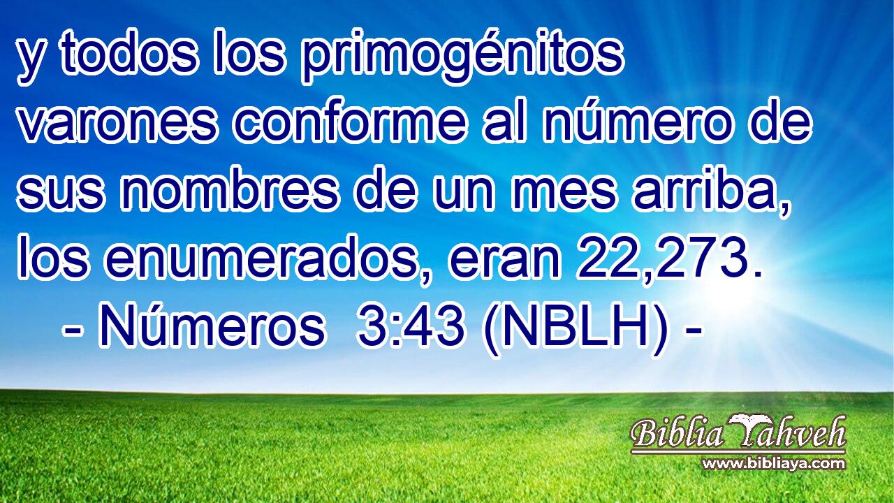  y todos los primogénitos varones conforme al número de sus nombres de un mes arriba, los enumerados, eran 22,273. 