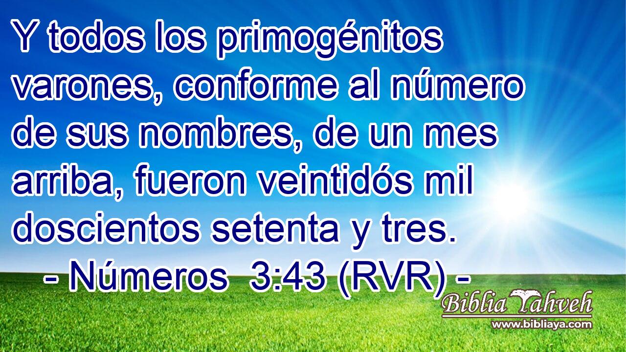 Y todos los primogénitos varones, conforme al número de sus nombres, de un mes arriba, fueron veintidós mil doscientos setenta y tres.