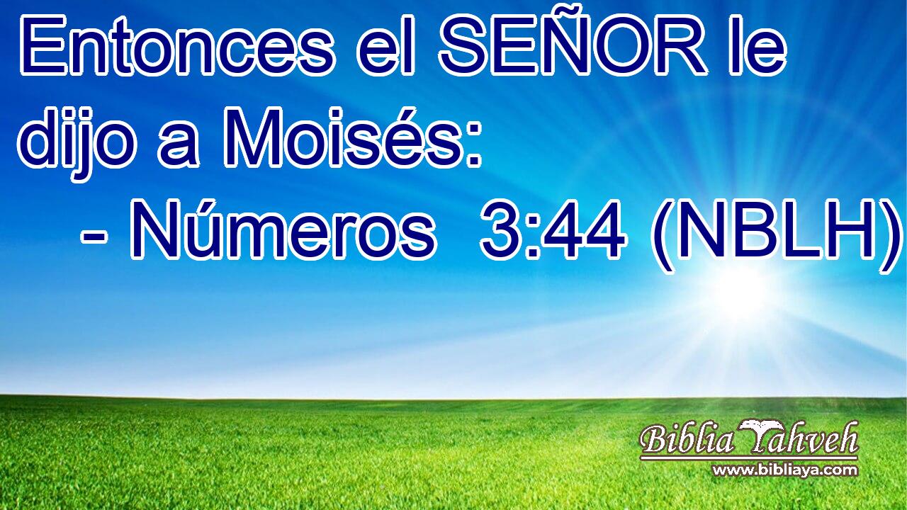  Entonces el SEÑOR le dijo a Moisés: 