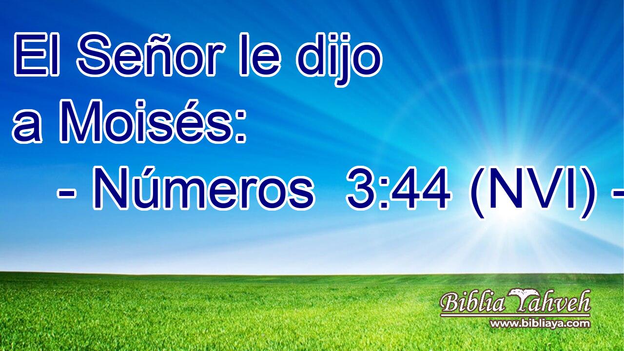  El Señor le dijo a Moisés: 