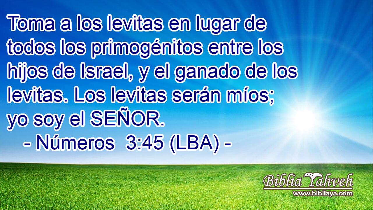 Toma a los levitas en lugar de todos los primogénitos entre los hijos de Israel, y el ganado de los levitas. Los levitas serán míos; yo soy el SEÑOR.
