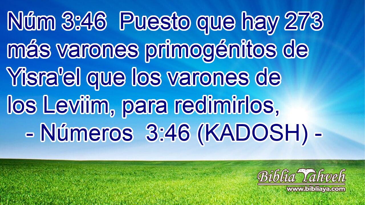  Puesto que hay 273 más varones primogénitos de Yisra'el que los varones de los Leviim, para redimirlos, 