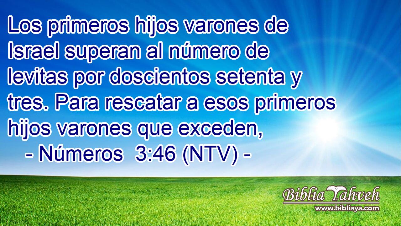 Los primeros hijos varones de Israel superan al número de levitas por doscientos setenta y tres. Para rescatar a esos primeros hijos varones que exceden,