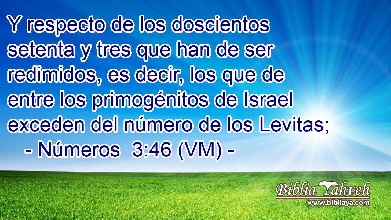  Y respecto de los doscientos setenta y tres que han de ser redimidos, es decir, los que de entre los primogénitos de Israel exceden del número de los Levitas; 