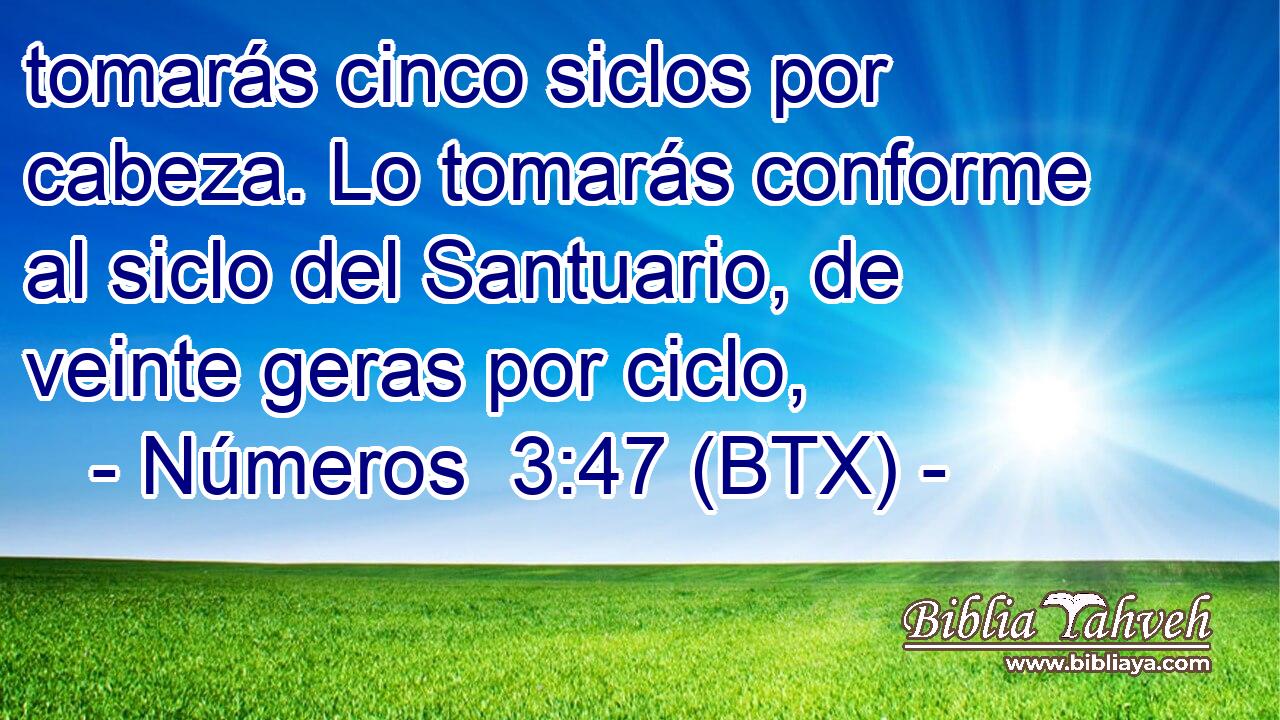 tomarás cinco siclos por cabeza. Lo tomarás conforme al siclo del Santuario, de veinte geras por ciclo,