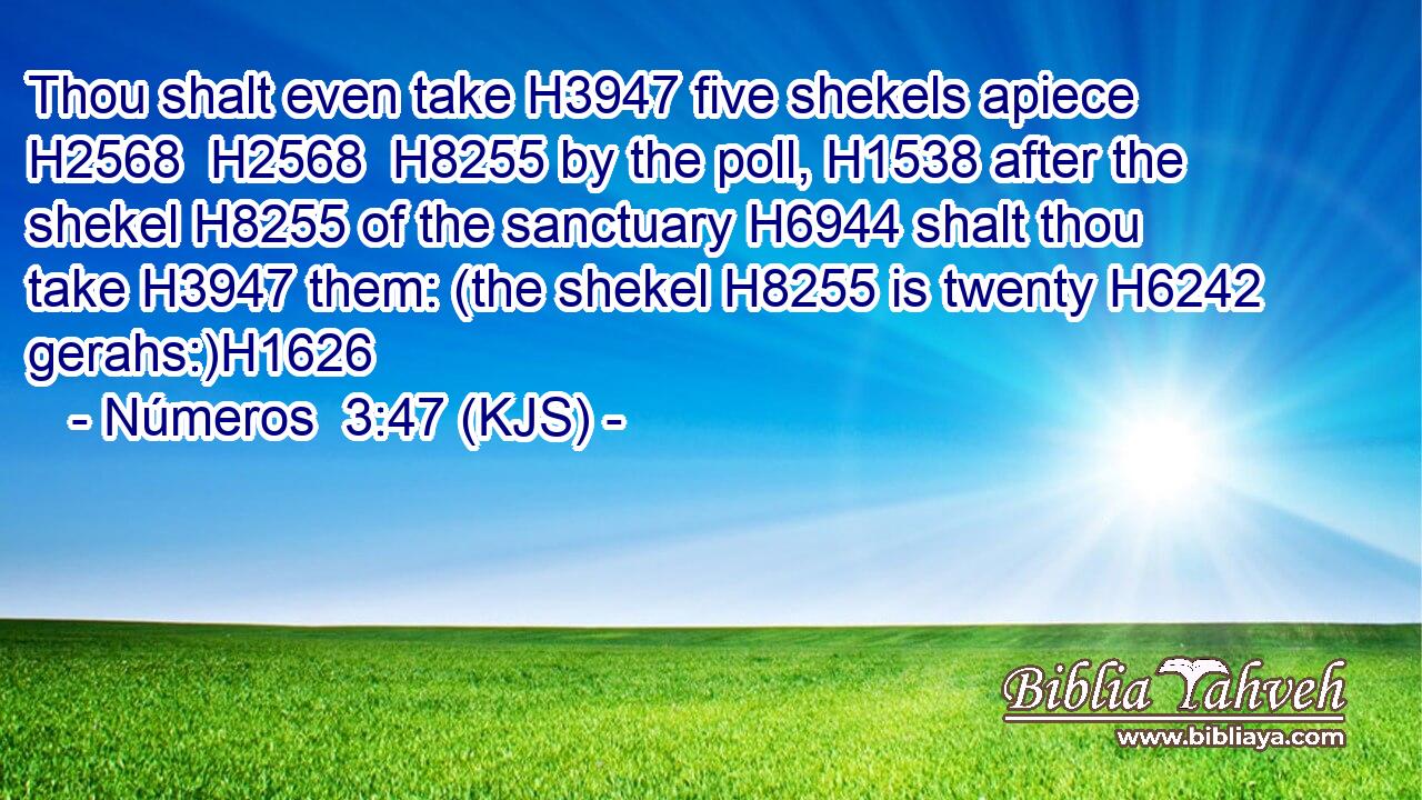 Thou shalt even take H3947 five shekels apiece H2568  H2568  H8255 by the poll, H1538 after the shekel H8255 of the sanctuary H6944 shalt thou take H3947 them: (the shekel H8255 is twenty H6242 gerahs:)H1626
