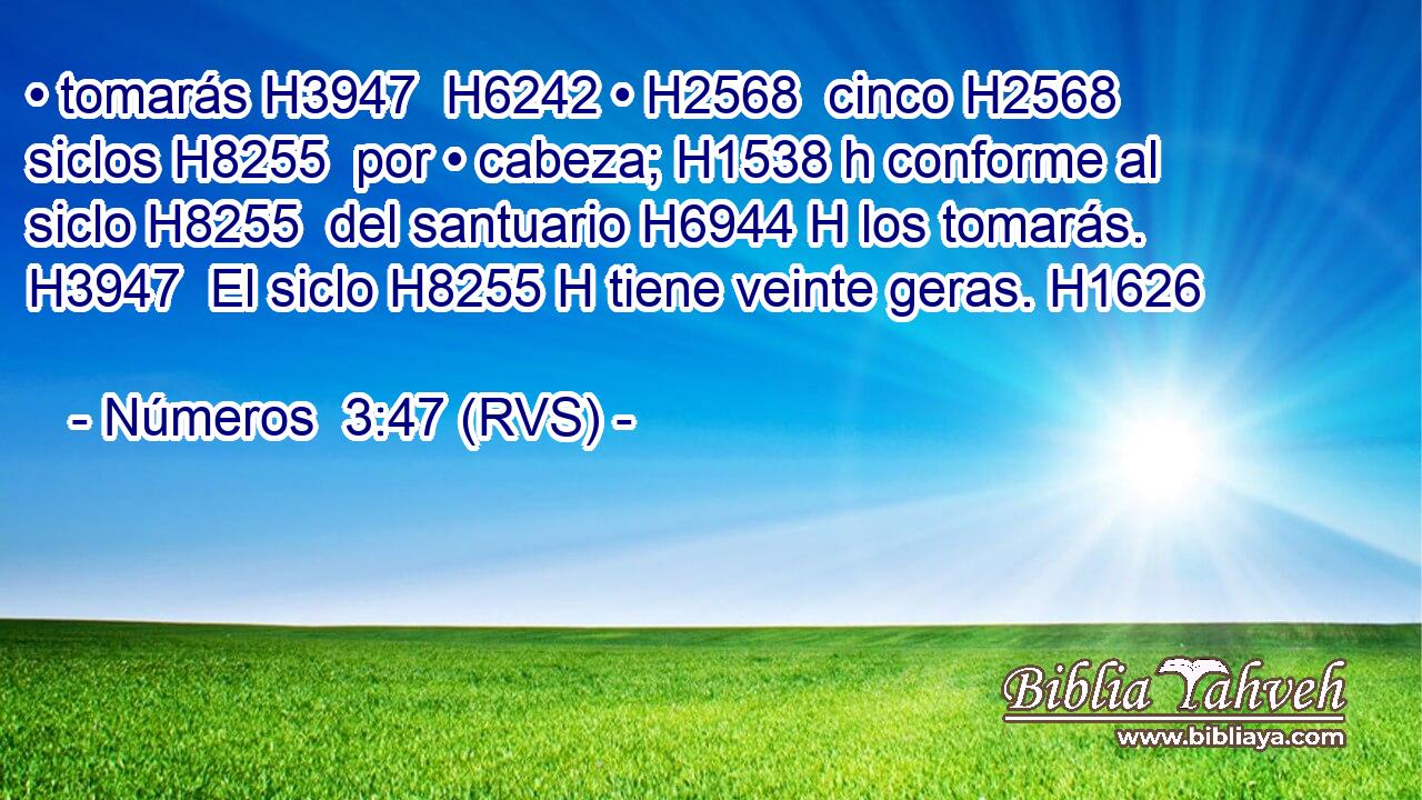 • tomarás H3947  H6242 • H2568  cinco H2568  siclos H8255  por • cabeza; H1538 h conforme al siclo H8255  del santuario H6944 H los tomarás. H3947  El siclo H8255 H tiene veinte geras. H1626  