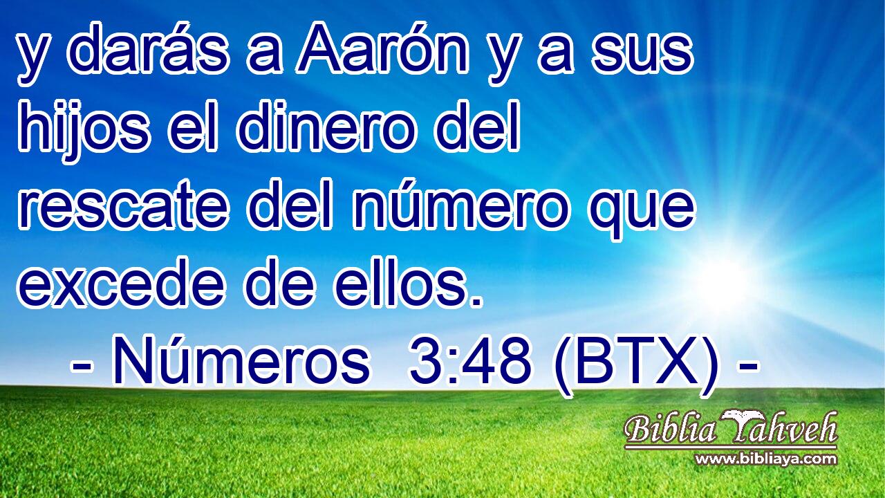 y darás a Aarón y a sus hijos el dinero del rescate del número que excede de ellos.