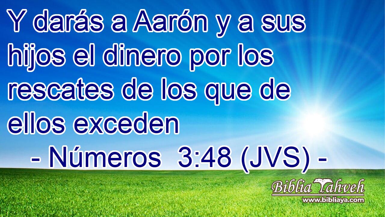 Y darás a Aarón y a sus hijos el dinero por los rescates de los que de ellos exceden