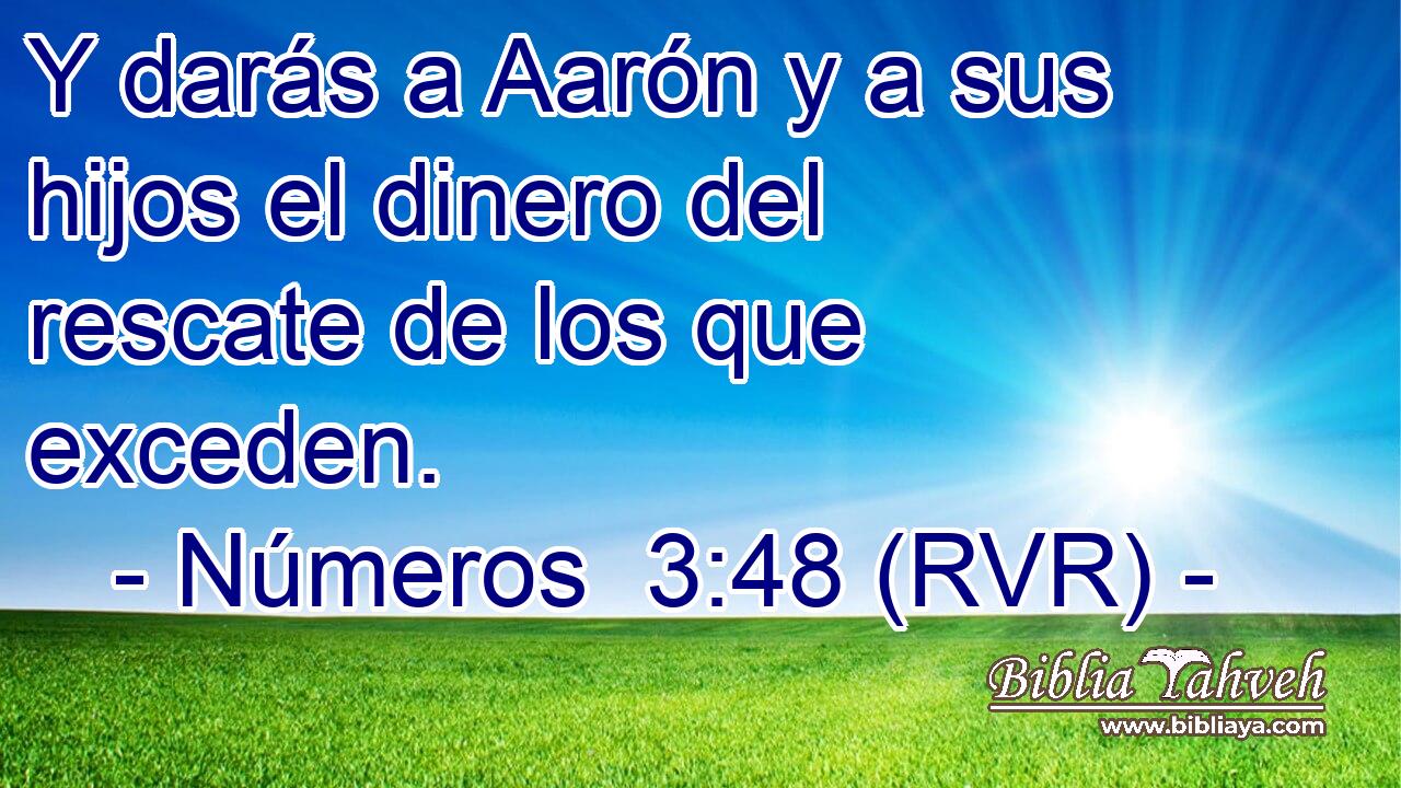 Y darás a Aarón y a sus hijos el dinero del rescate de los que exceden.