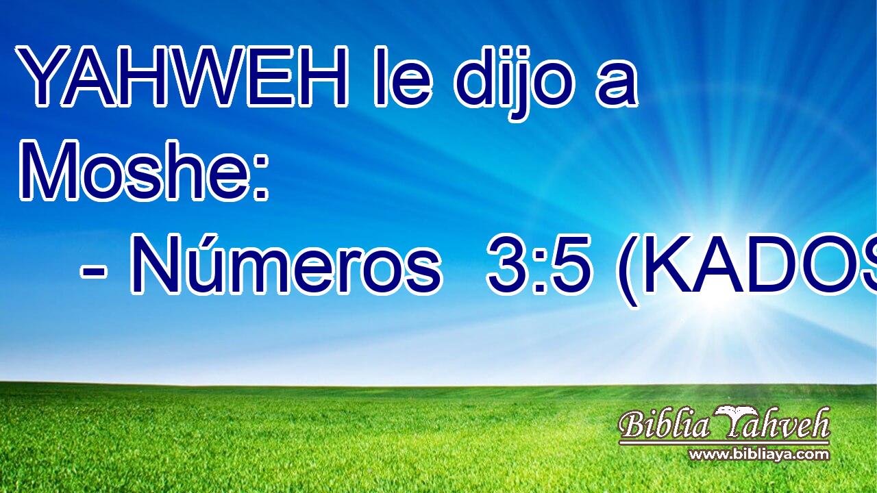  YAHWEH le dijo a Moshe: 