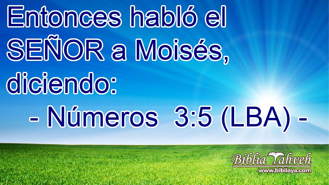 Entonces habló el SEÑOR a Moisés, diciendo: