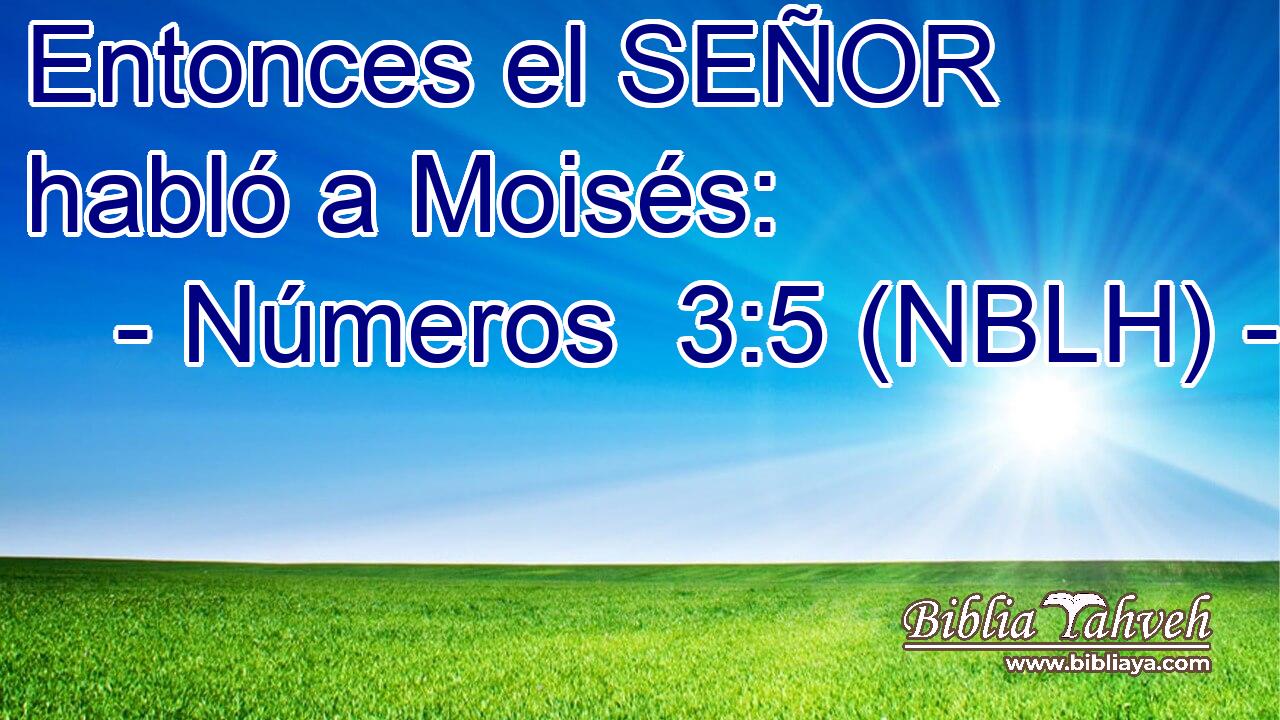  Entonces el SEÑOR habló a Moisés: 