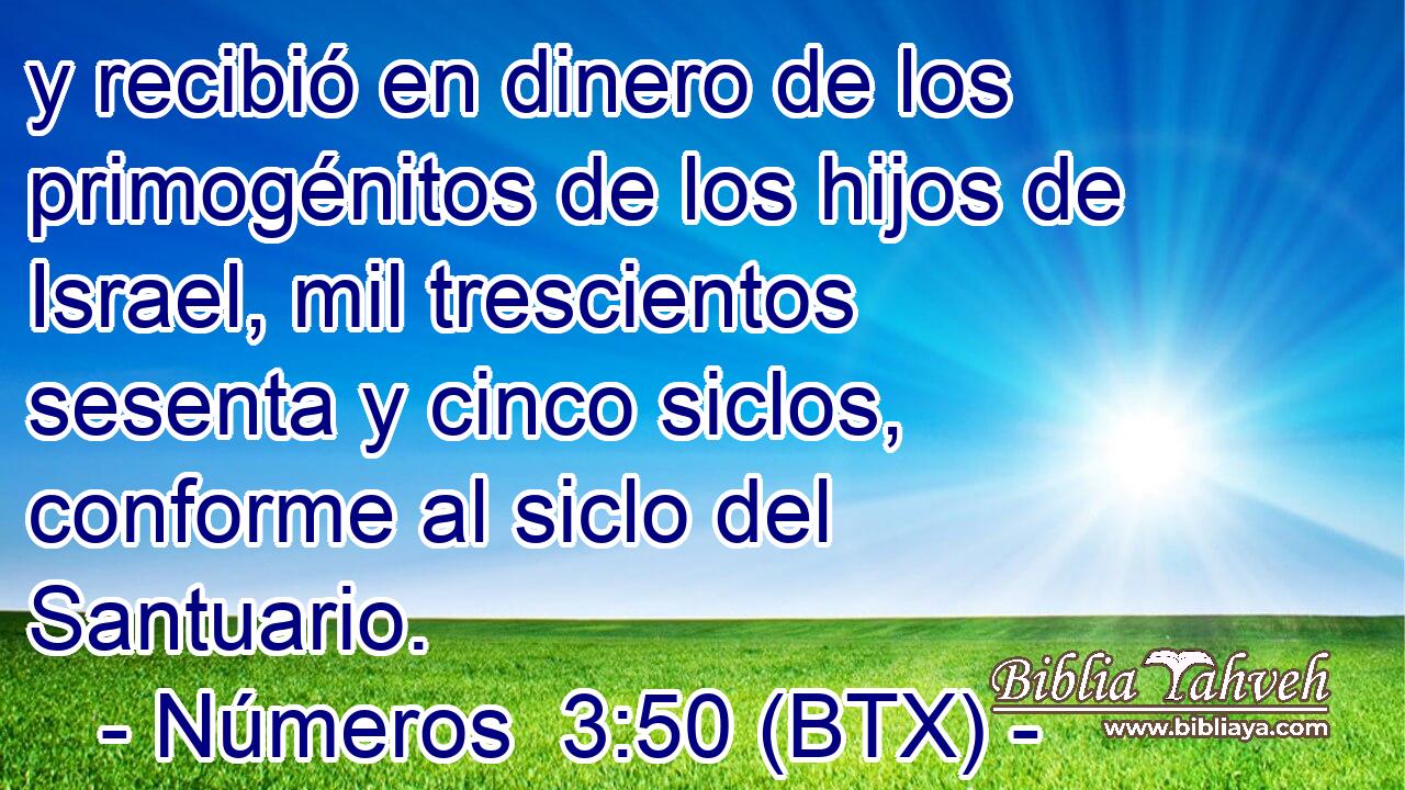 y recibió en dinero de los primogénitos de los hijos de Israel, mil trescientos sesenta y cinco siclos, conforme al siclo del Santuario.