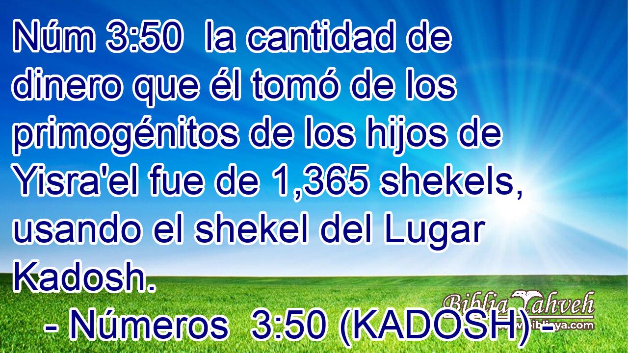  la cantidad de dinero que él tomó de los primogénitos de los hijos de Yisra'el fue de 1,365 shekels, usando el shekel del Lugar Kadosh. 