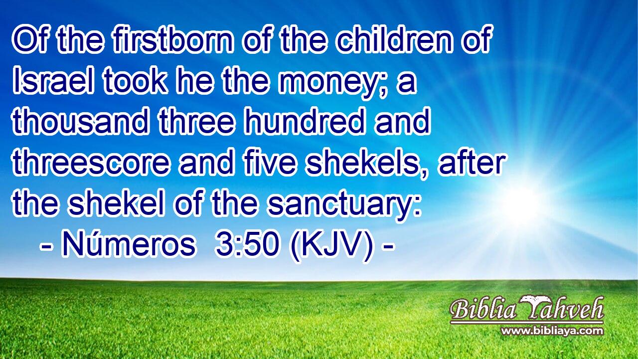 Of the firstborn of the children of Israel took he the money; a thousand three hundred and threescore and five shekels, after the shekel of the sanctuary: